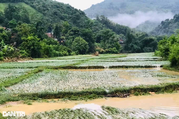 Lũ lụt tàn phá bản làng, huyện nghèo cầu cứu