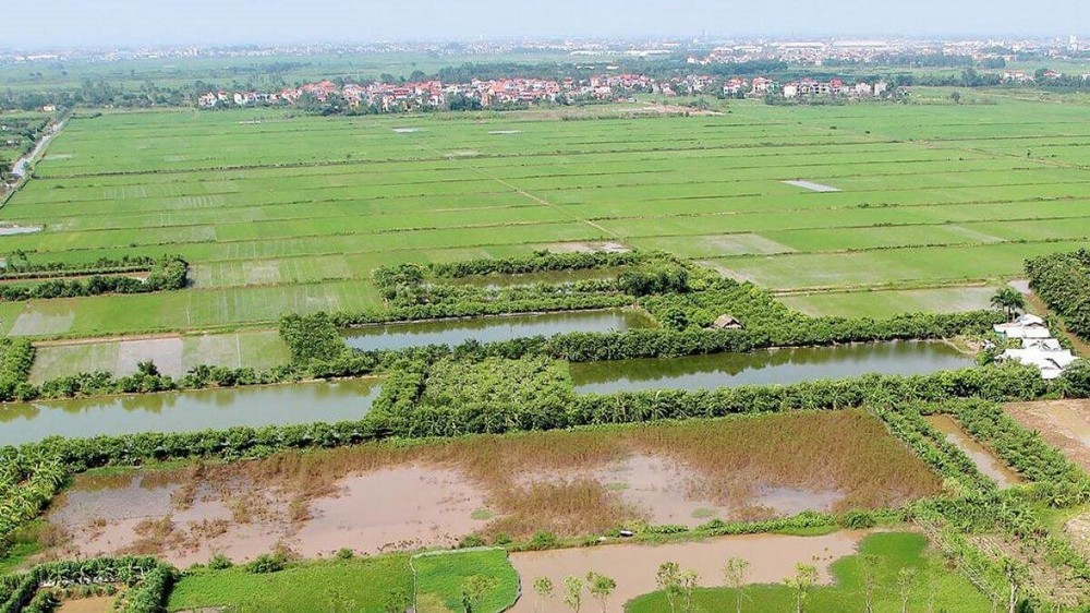 Siêu lợi nhuận từ đầu tư đất nông nghiệp: “Có thể tăng giá hàng trăm lần trong 10 năm?”